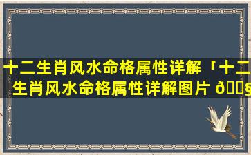 十二生肖风水命格属性详解「十二生肖风水命格属性详解图片 🐧 」